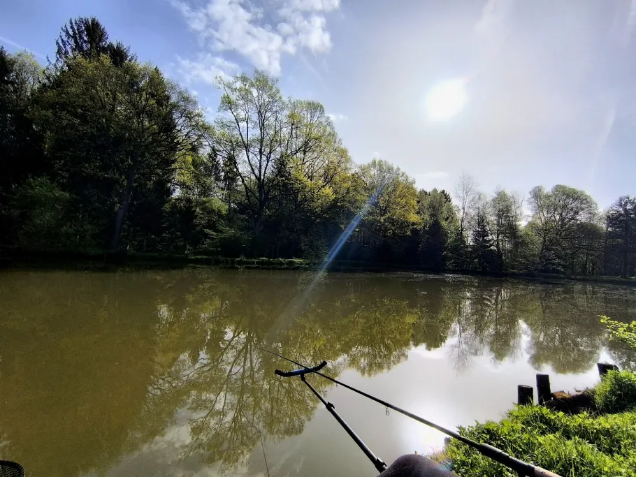 Bauerteich (Kemeten) angeln