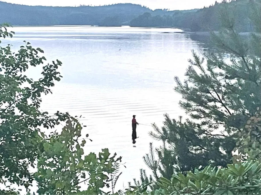 Säven (Fristad) angeln