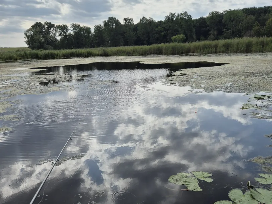 Krebsgrube (Hohenwutzen)  angeln