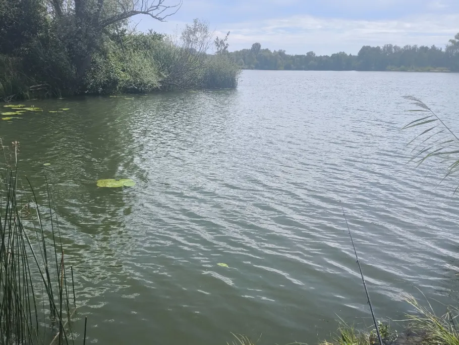 Donaurieder See angeln