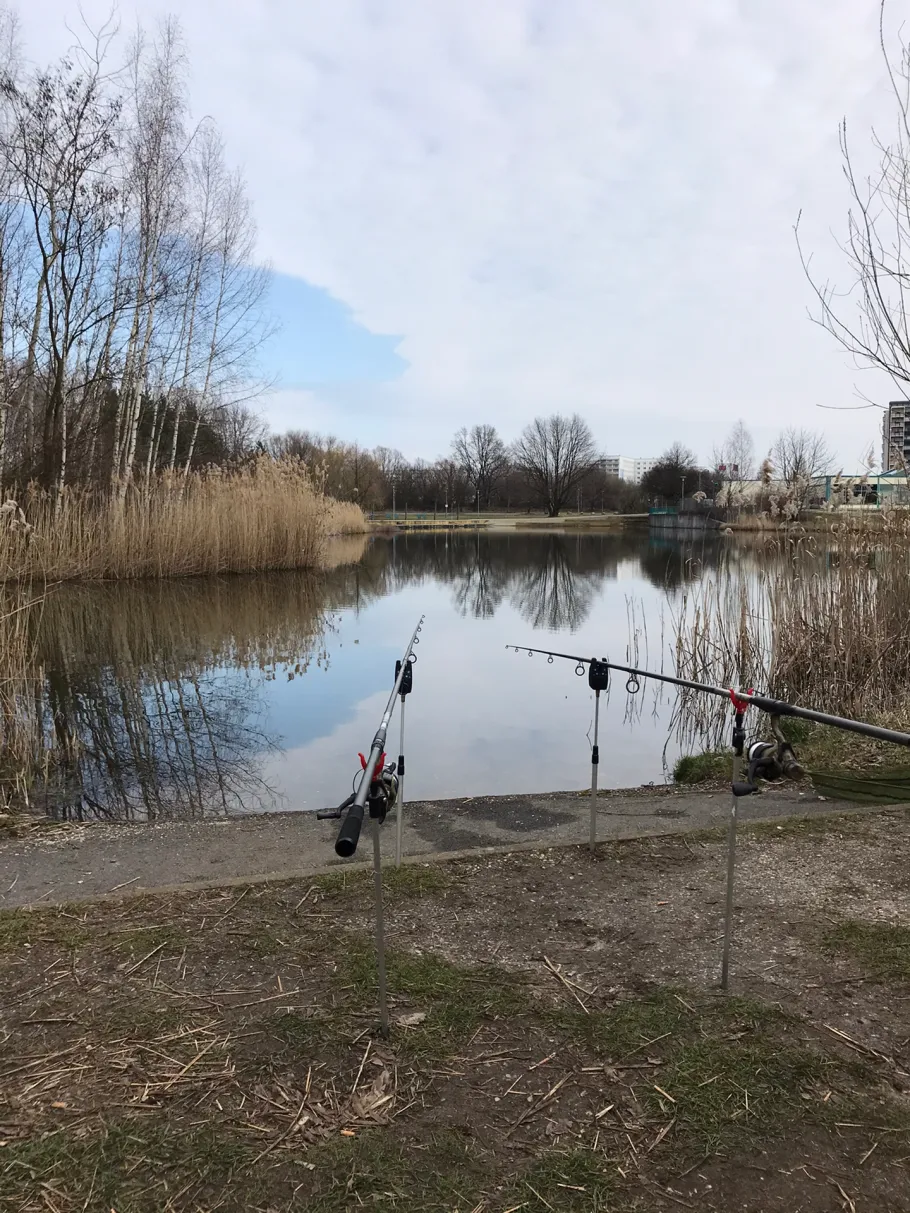 Gondelteich Hoyerswerda angeln