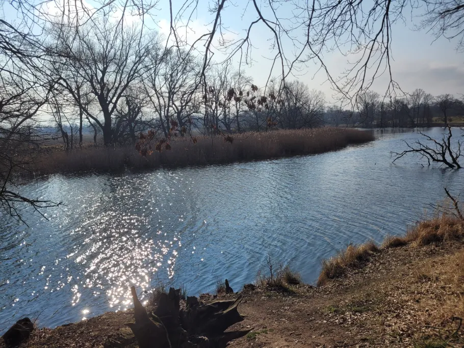 Alte Mulde (Roitzschjora) angeln