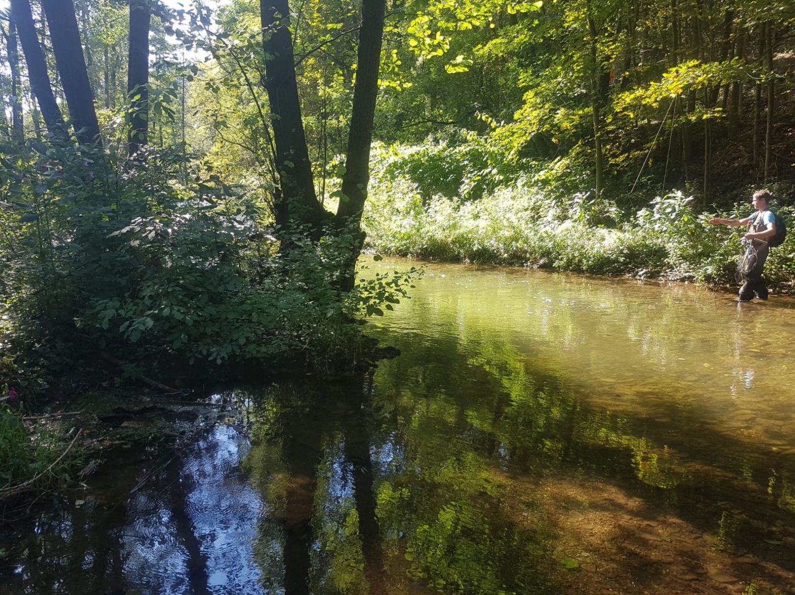 Zwönitz (Zwönitz) angeln