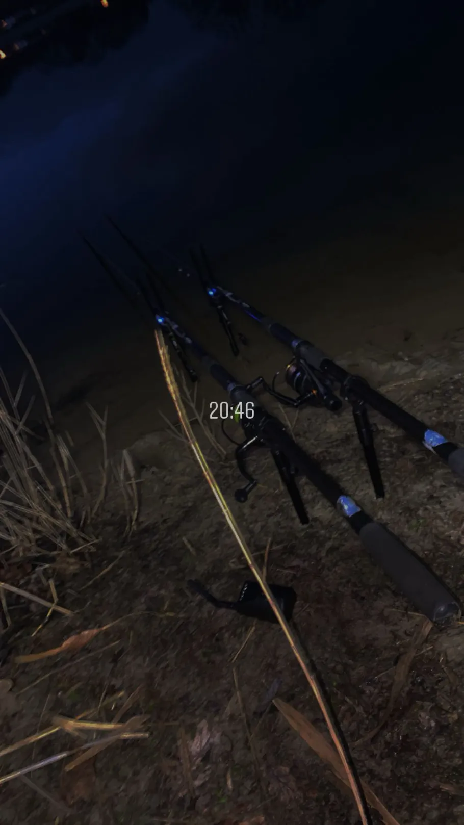 Campingplatz Nordloh angeln