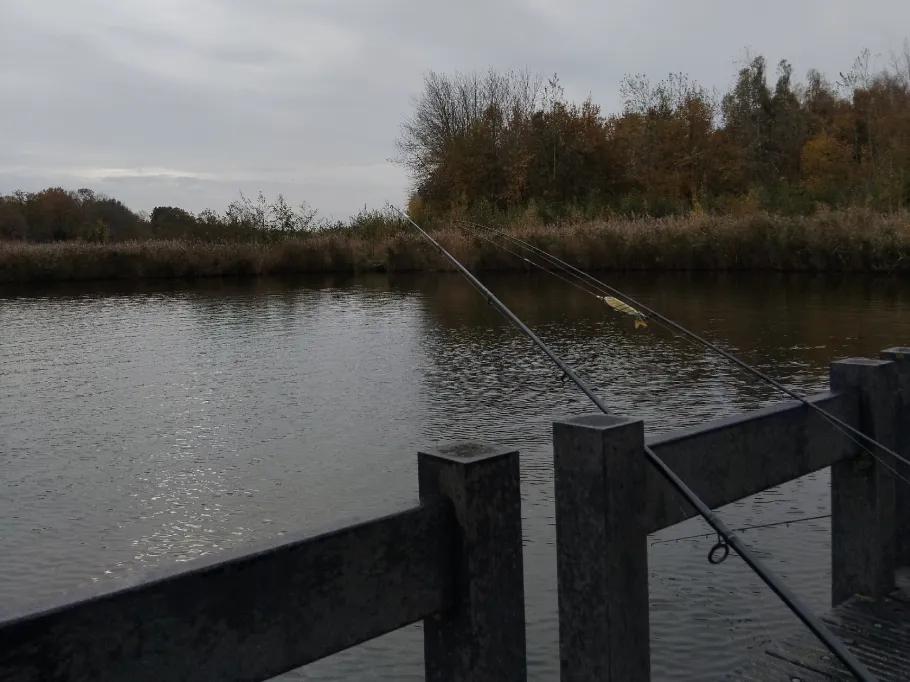 Veersche Kreek angeln