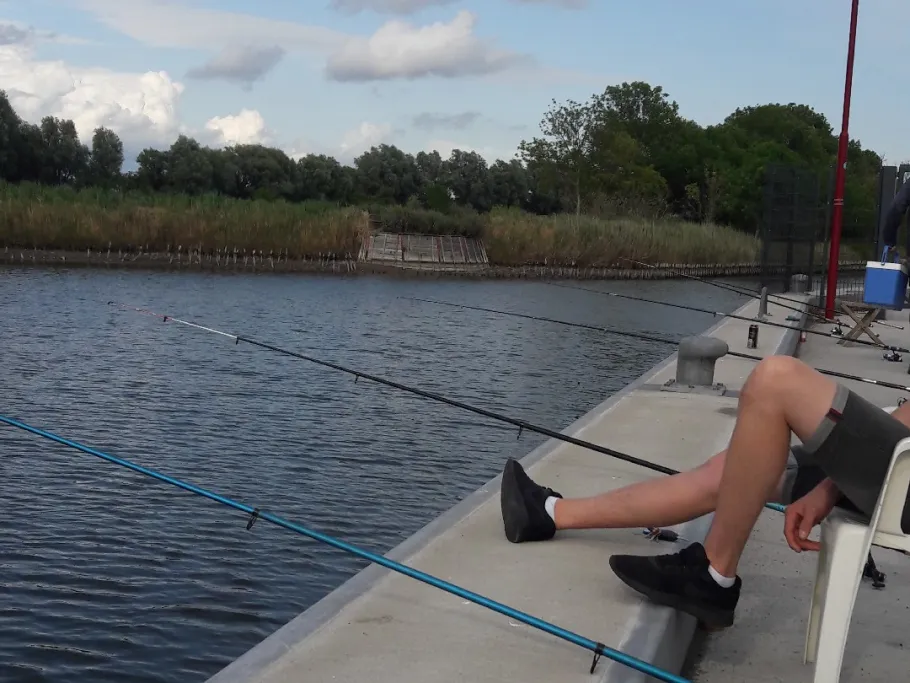 Vareler Hafen angeln