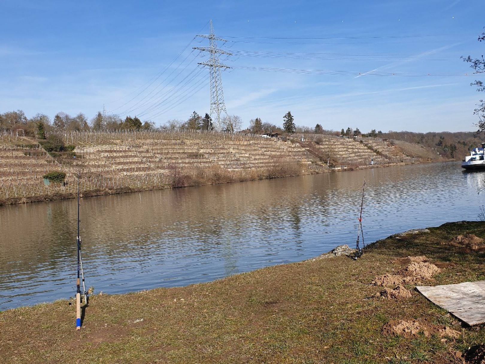 Neckar (Marbach/Benningen) angeln