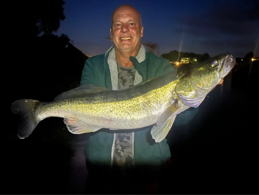 Rhein (Koblenz) angeln