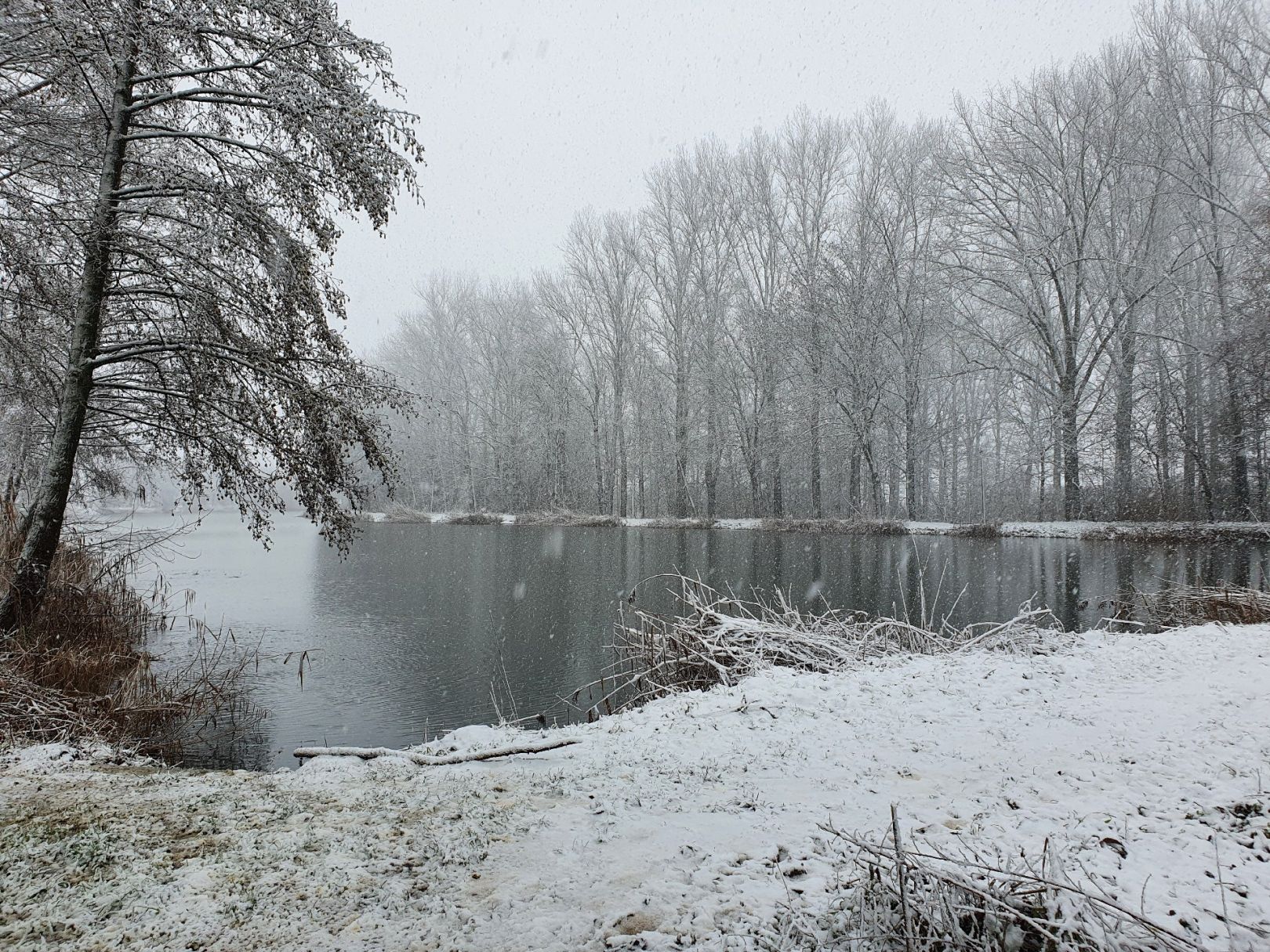 Voglerteich (Hüttengesäß) angeln