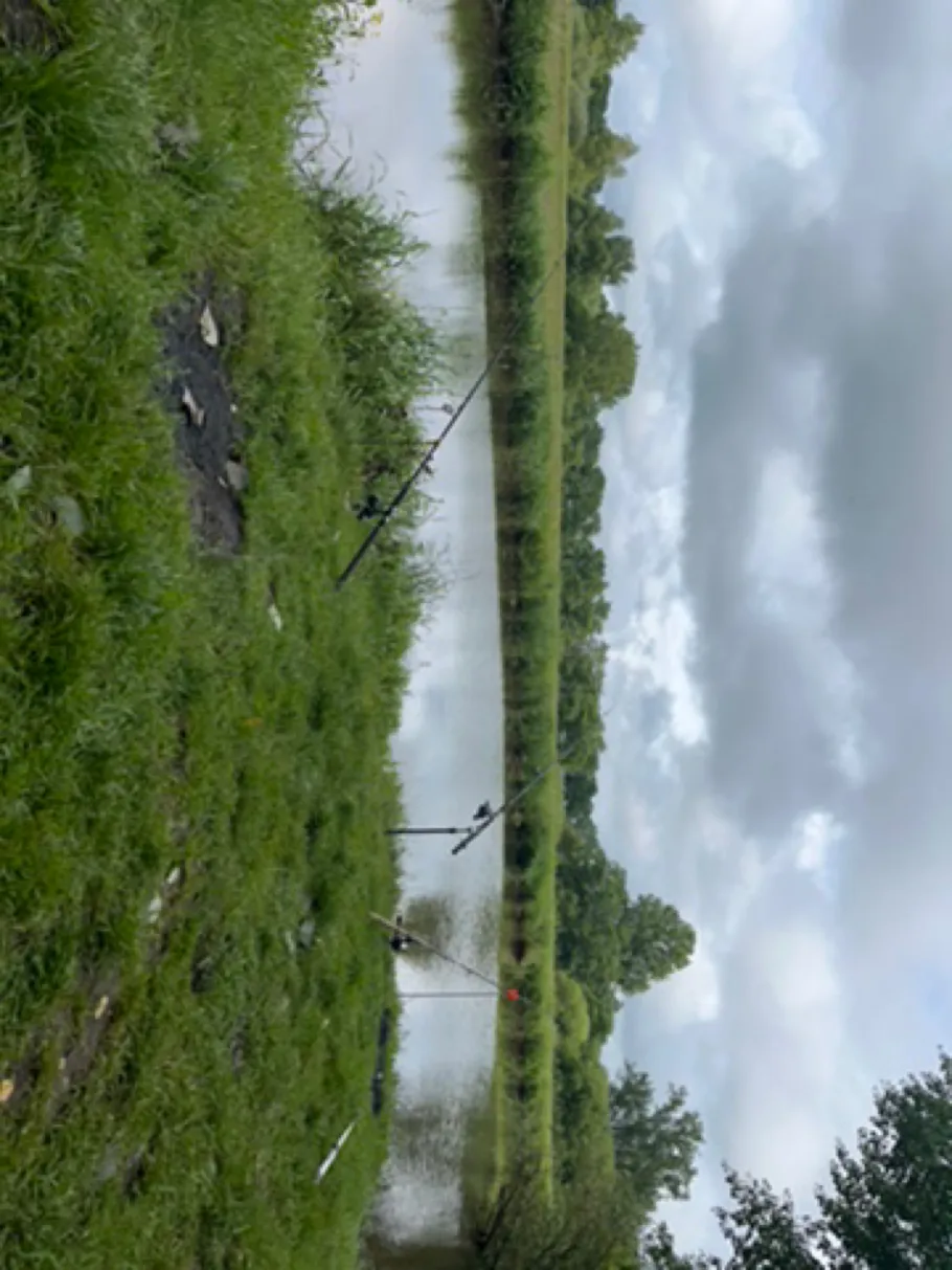 Sagter Ems (Rhauderfehn) angeln