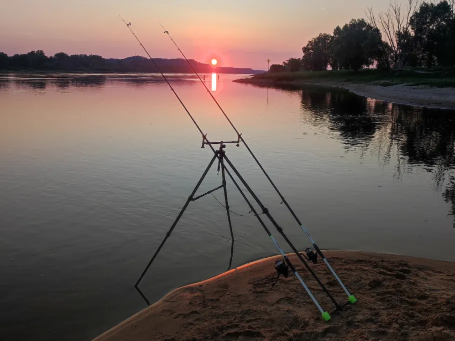 Elbe (Hitzacker/Elbe) angeln