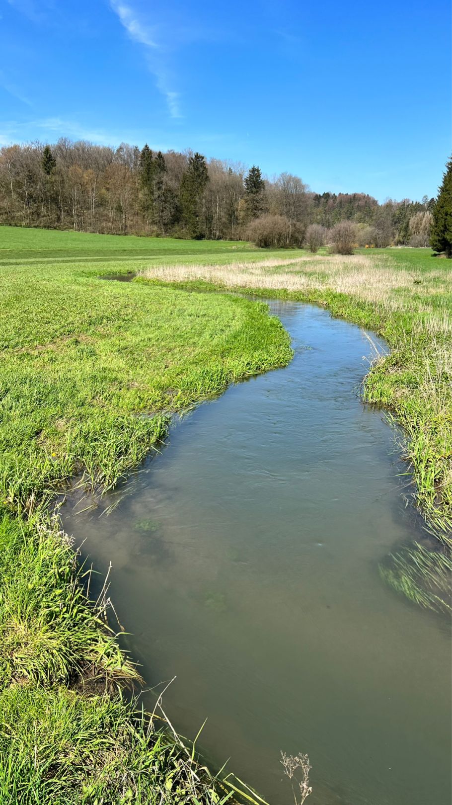 Aufseß (Hollfeld) angeln