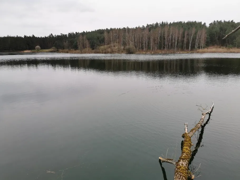 Großer Birkensee (Röthenbach) angeln
