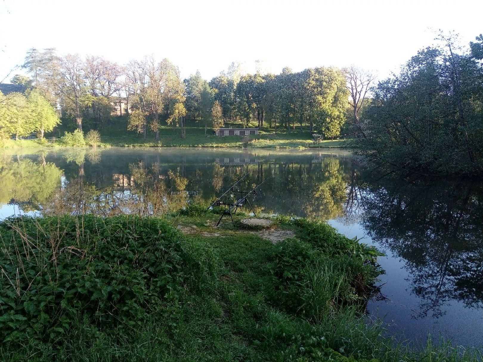 Hofteich (Pfaffroda) angeln