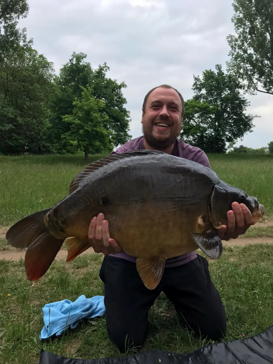 Main (Oberhaid) angeln