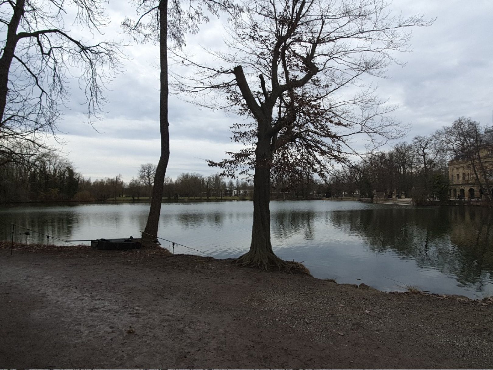 Monrepos See (Ludwigsburg) angeln