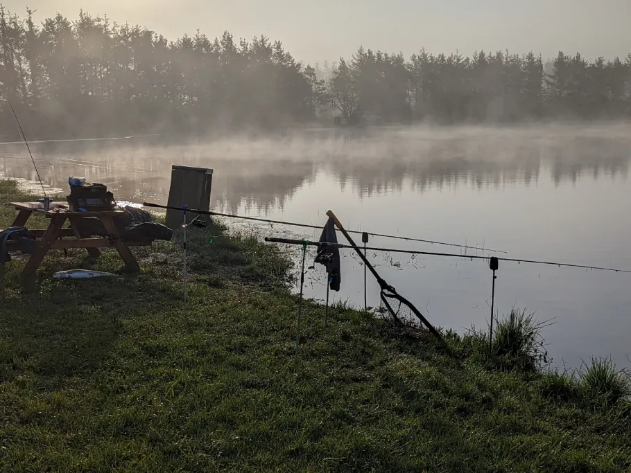 Rødekro Fiskepark  angeln