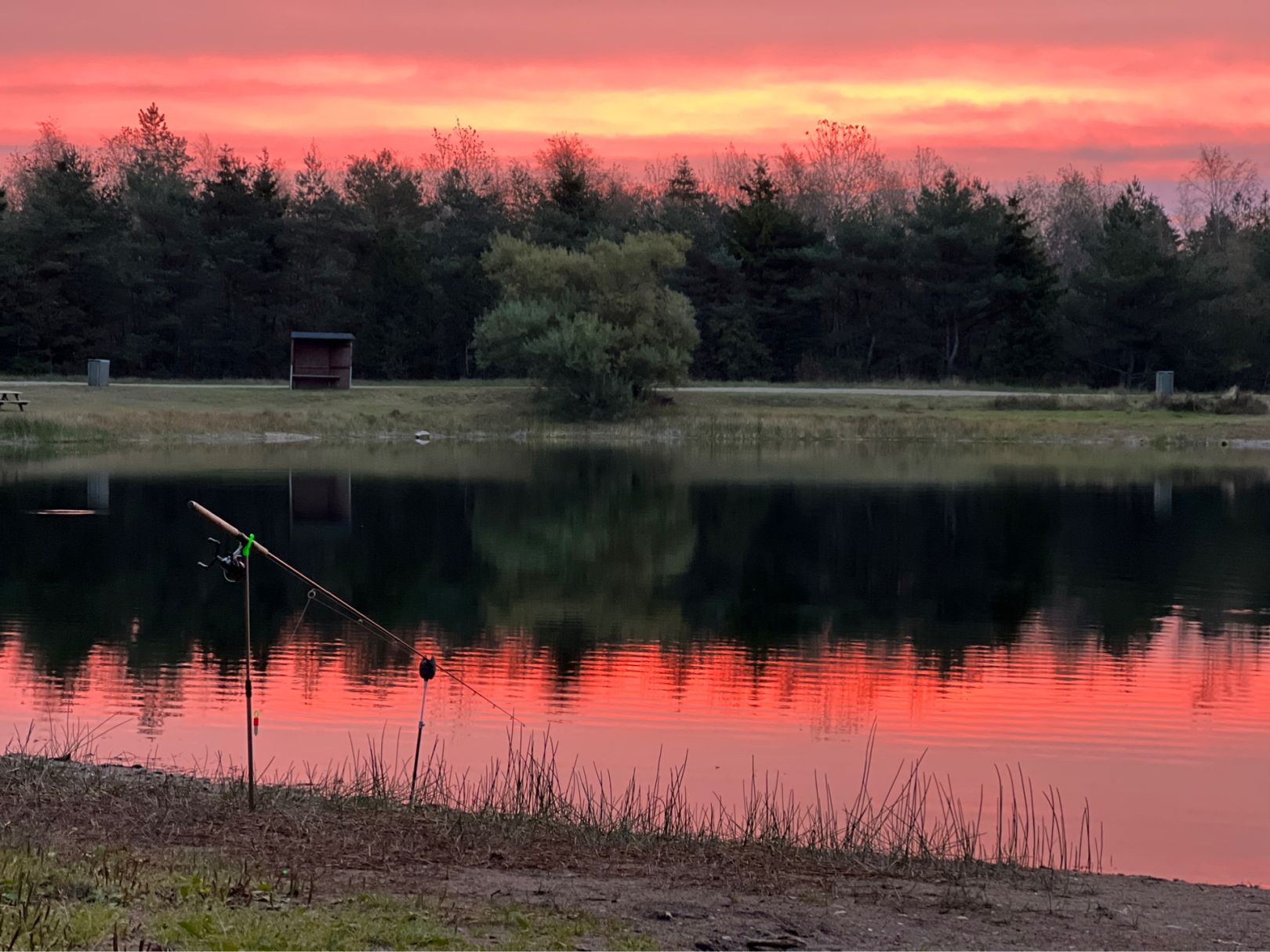 Rødekro Fiskepark  angeln