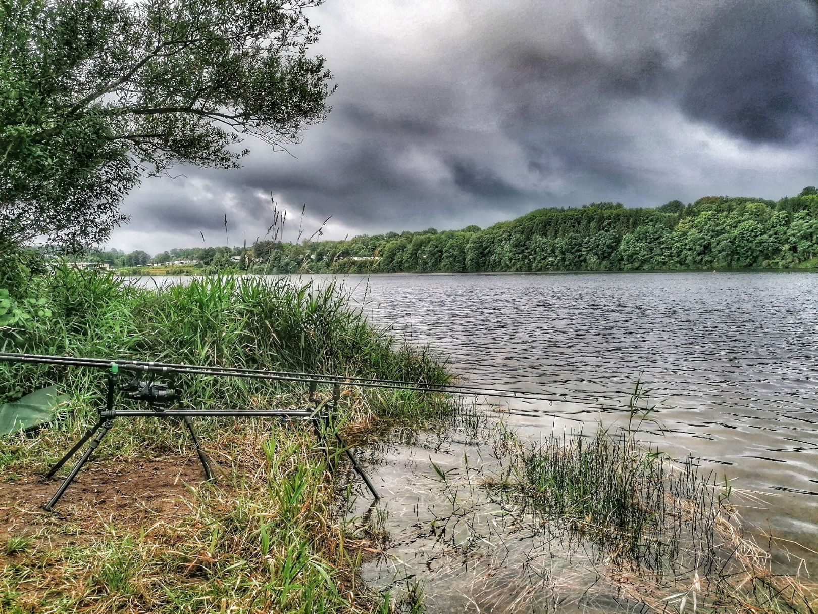 Stausee Bütgenbach angeln