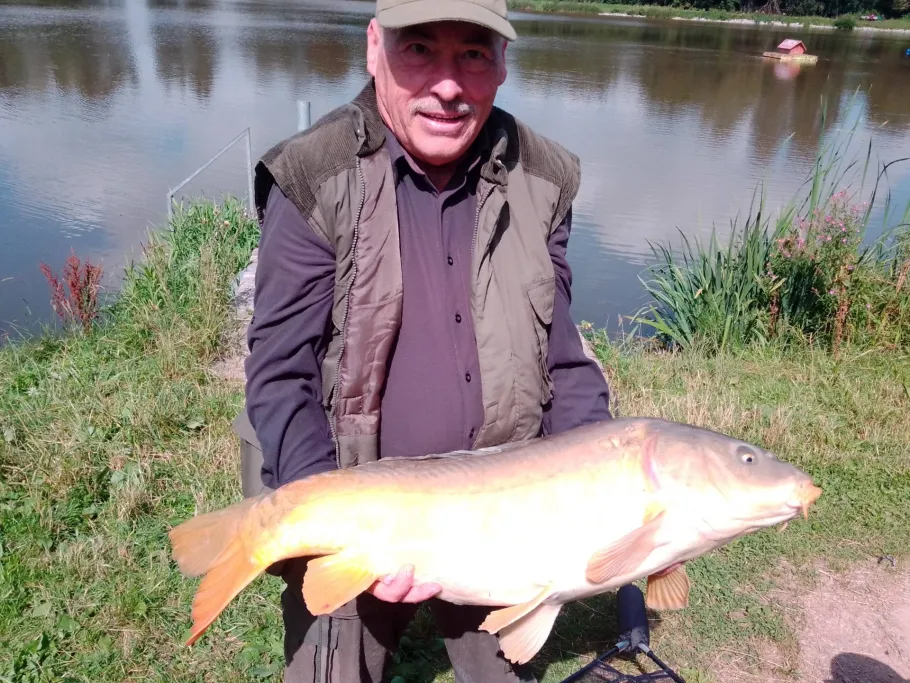 Wolfsteich (Mönchweiler) angeln