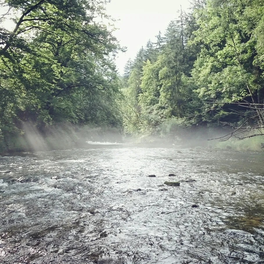 Mangfall (Grubmühle) angeln