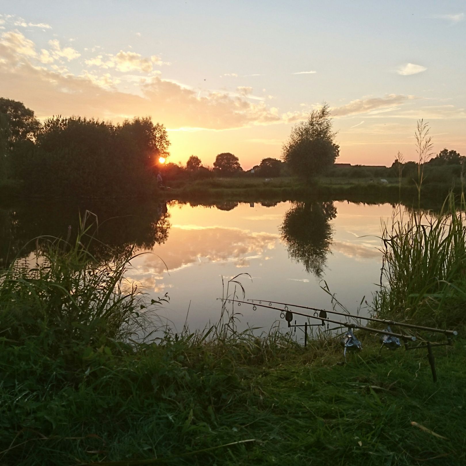 Teichanlage Hovestadt (Lippetal) angeln
