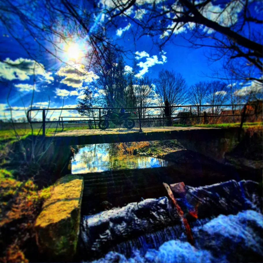 Alme (Bad Salzdetfurth) angeln