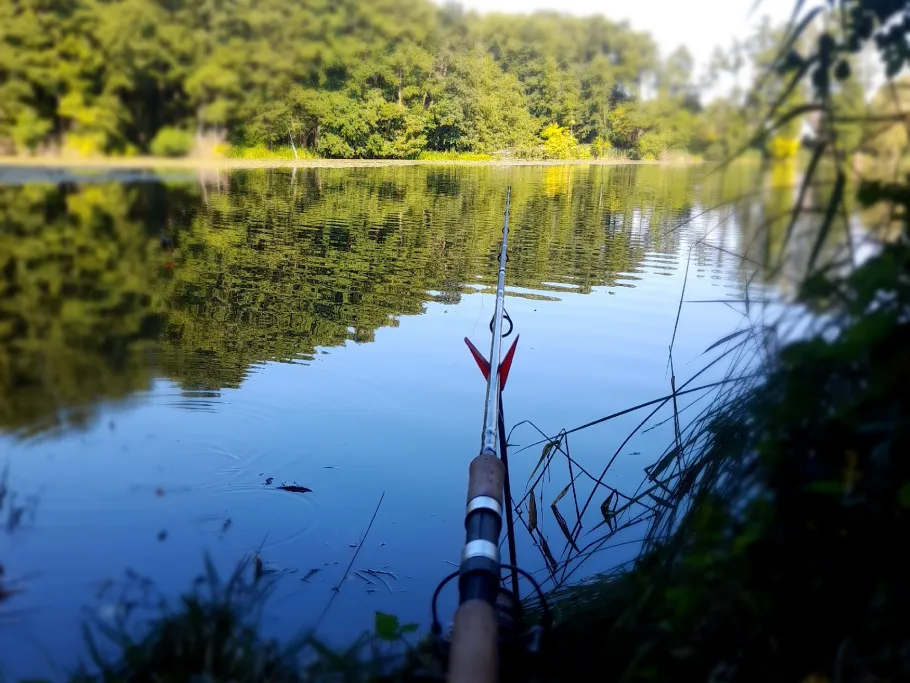 Haussee (Worin) angeln