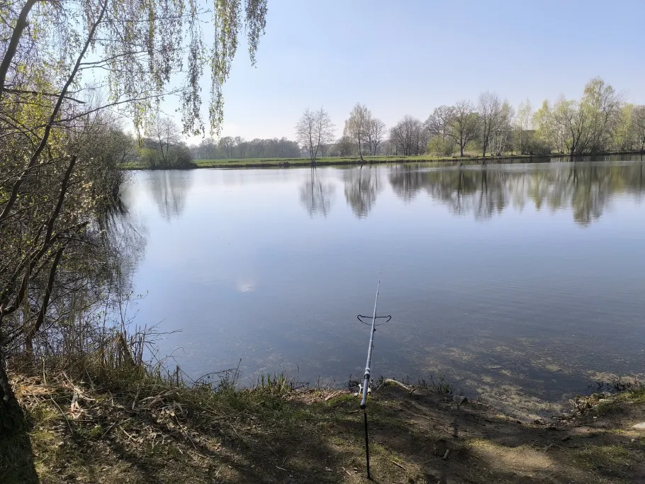 Teich Schrage angeln