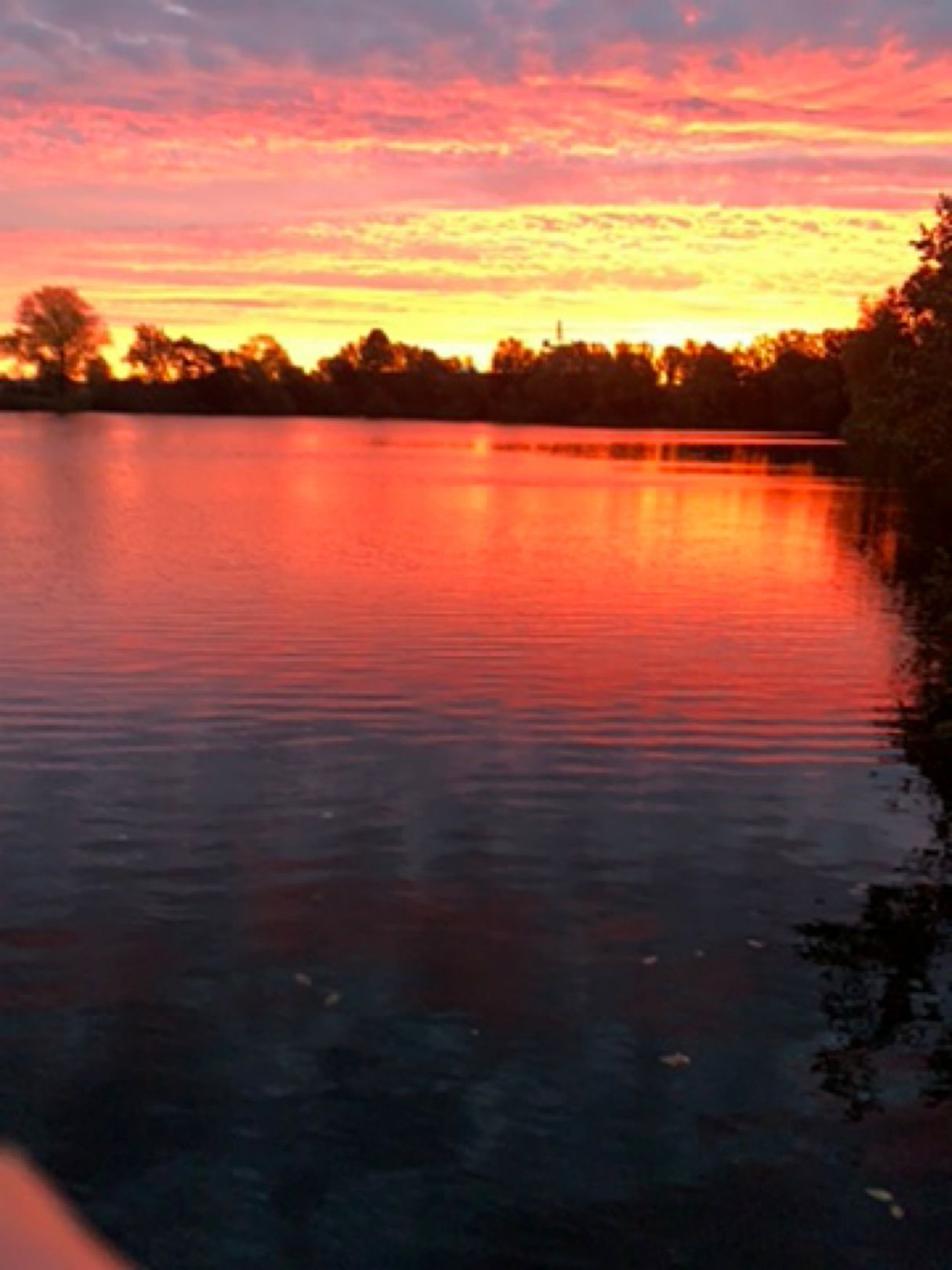 Brinkumer See angeln