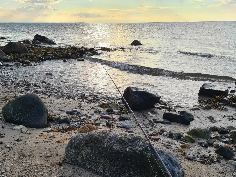 Årøsund (Ostsee) angeln