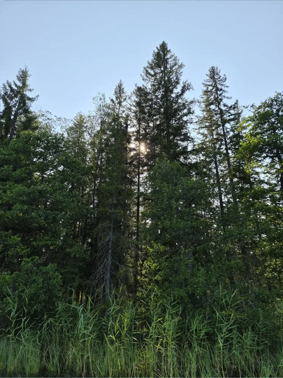 Torrvarpen (Grythyttan) angeln