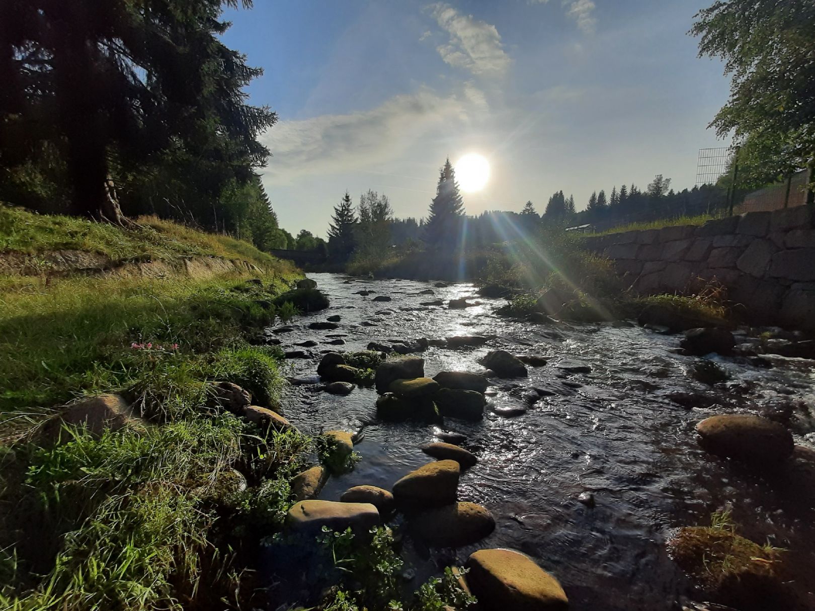 Schwarzwasser (Schwarzenberg) angeln