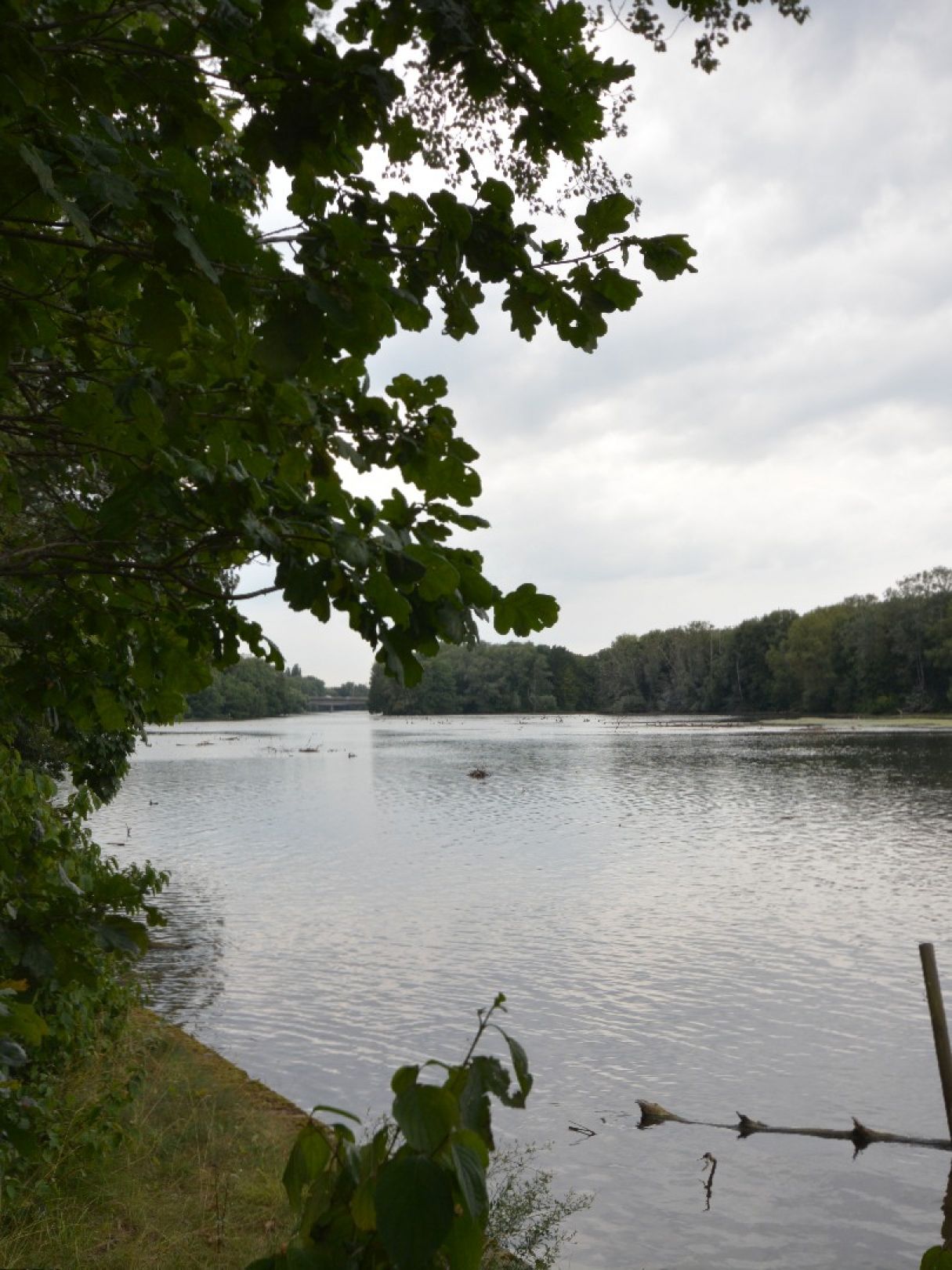 Oberer Wöhrder See (Nürnberg) angeln