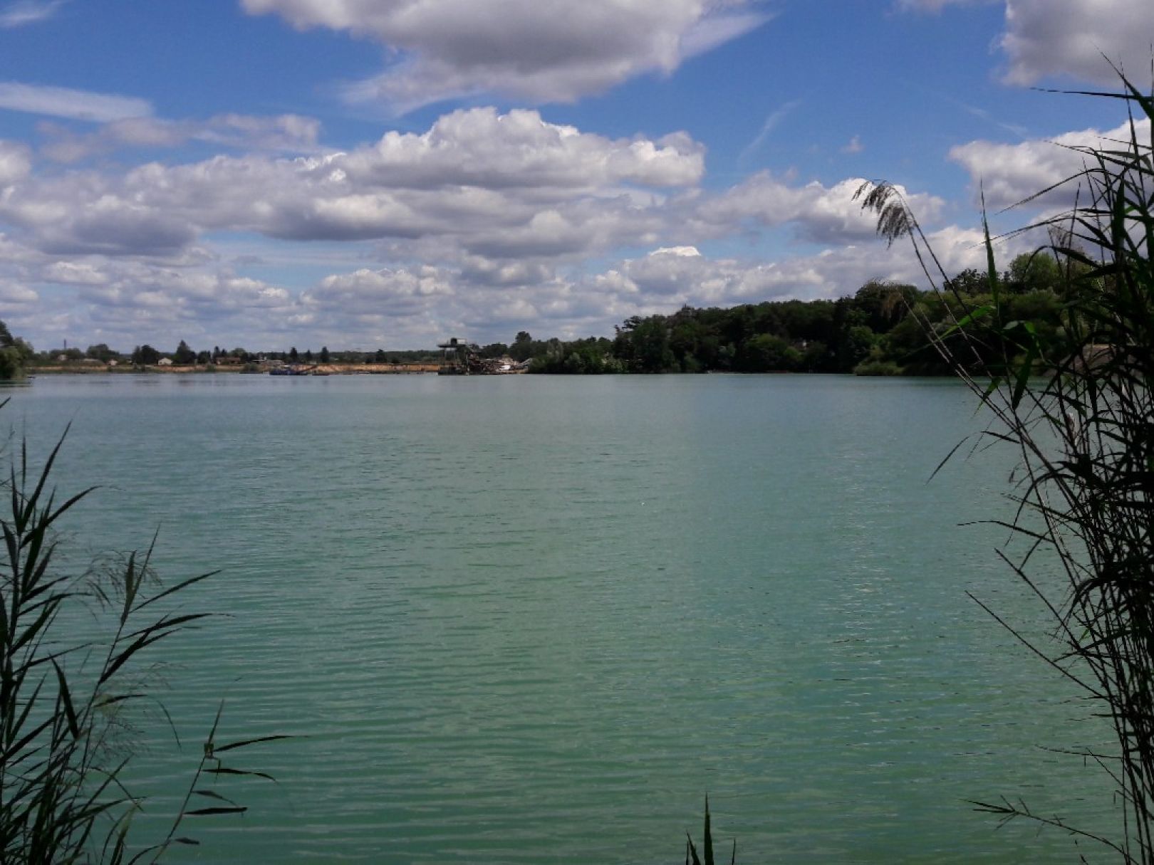Haselsee (Babenhausen) angeln