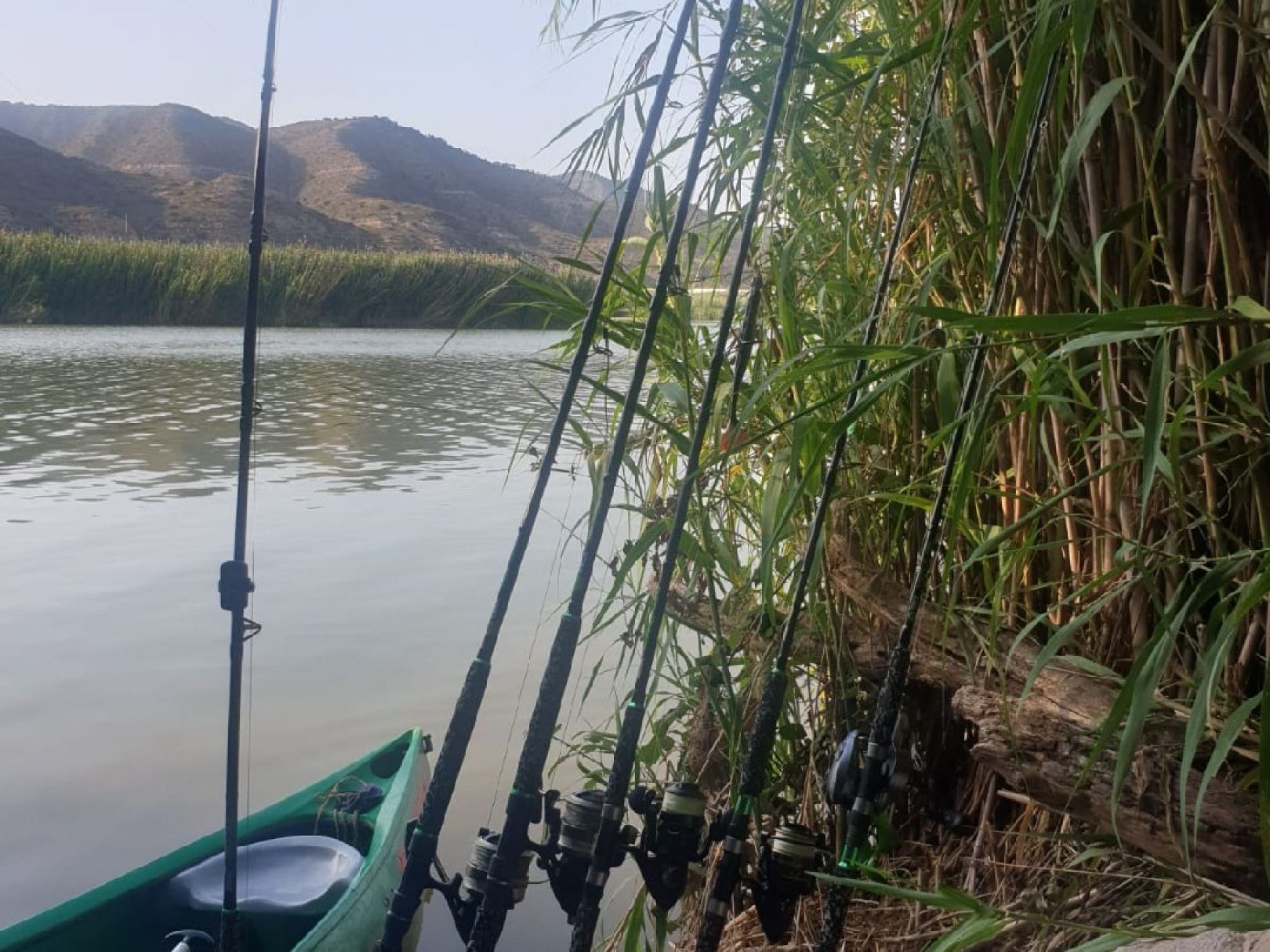 Ebro (Riba Roja Stausee) angeln