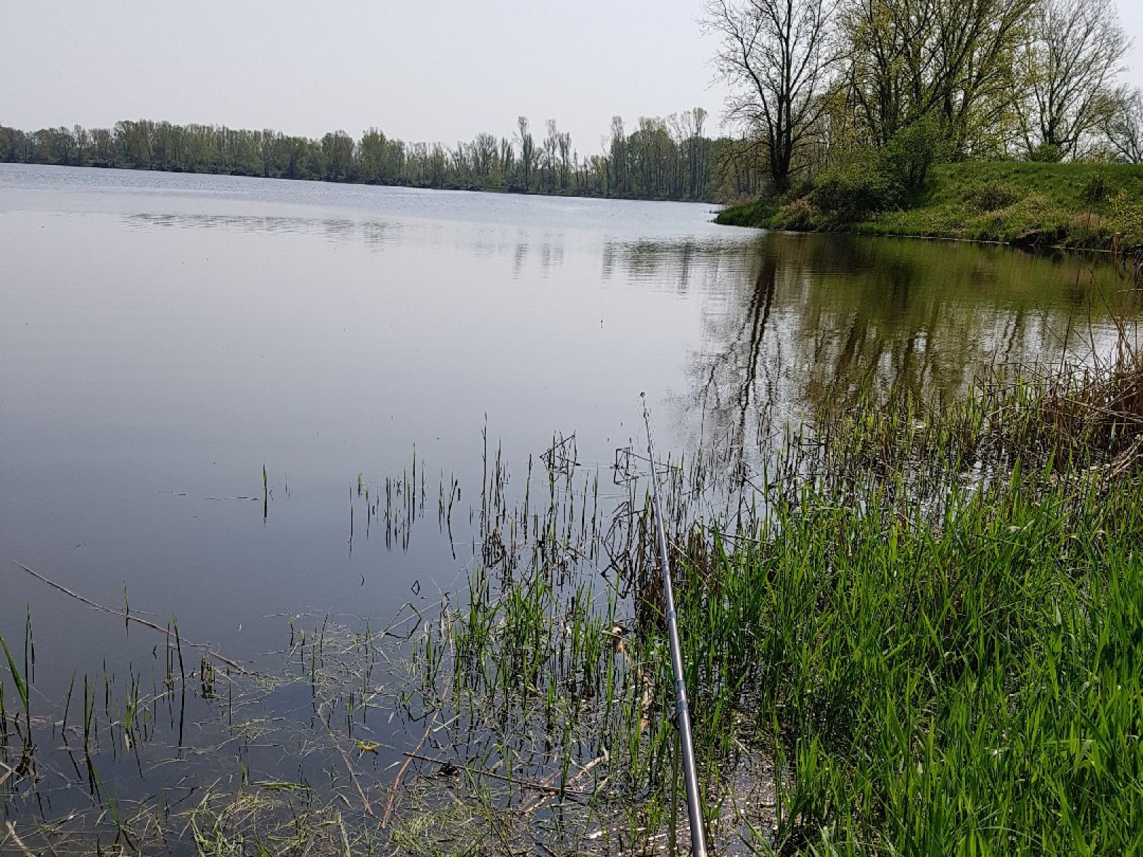 Gerwischer Baggersee 1 angeln