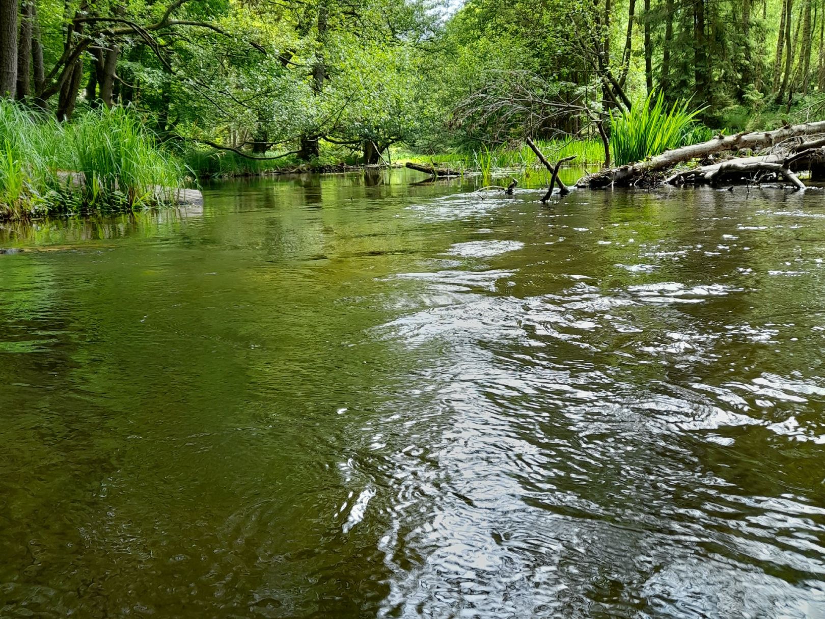 Angeln in Kuhlen-Wendorf