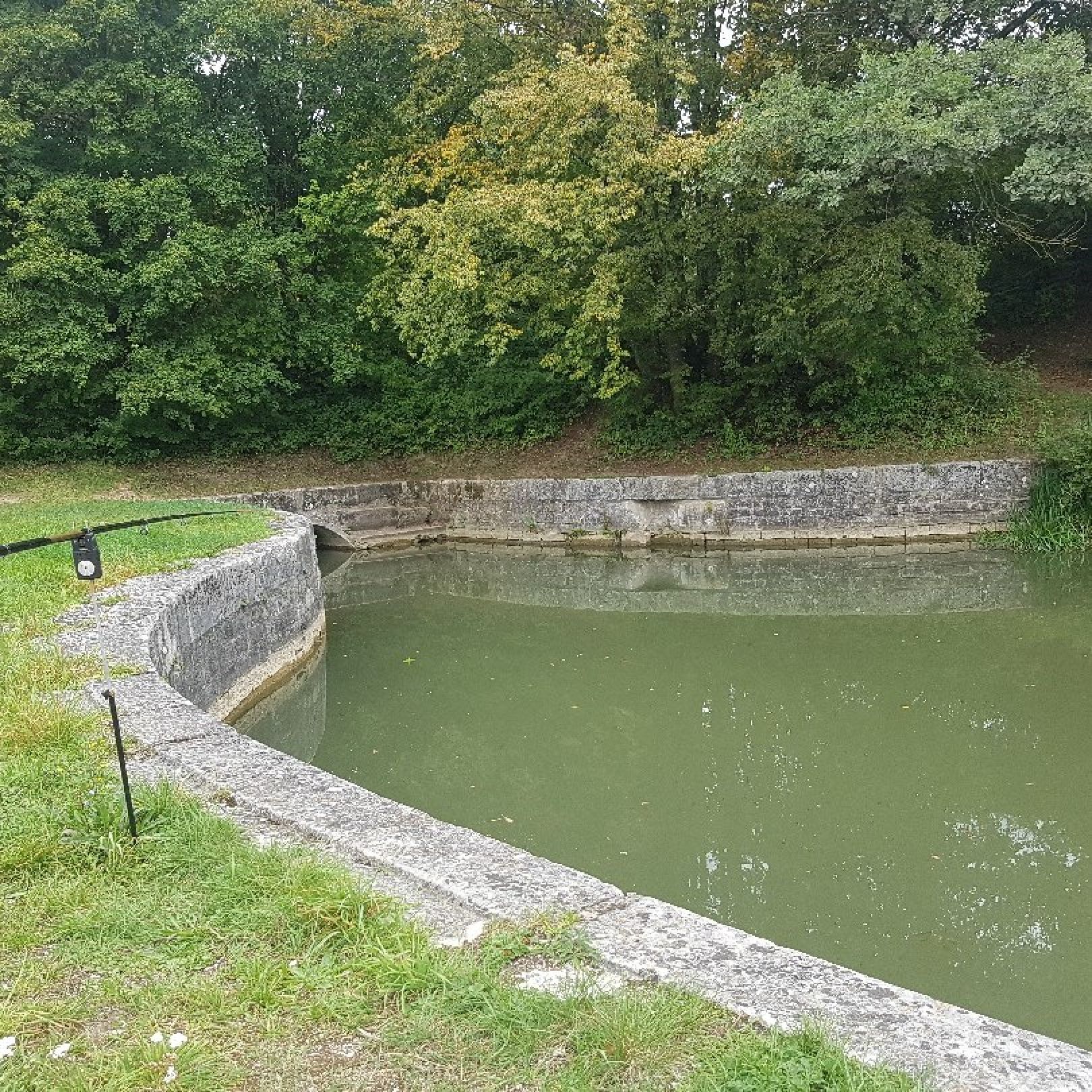 Ludwig-Donau-Main-Kanal (Rasch) angeln