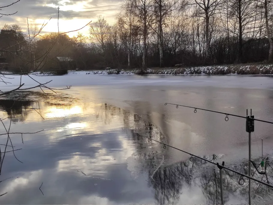 Teichanlage Woosmerhof angeln