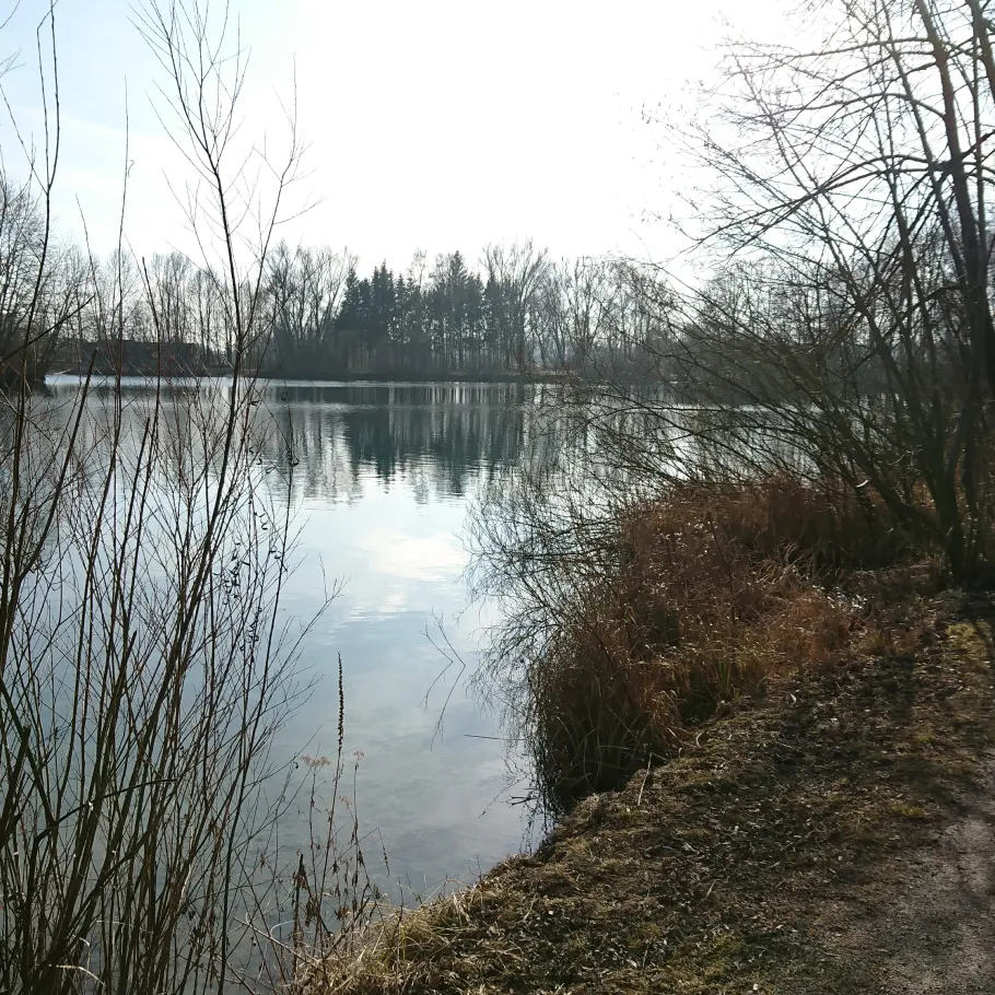 Waldschwaigsee angeln