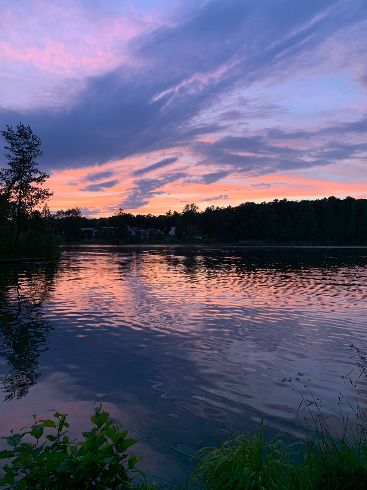 Möllensee (Grünheide) angeln