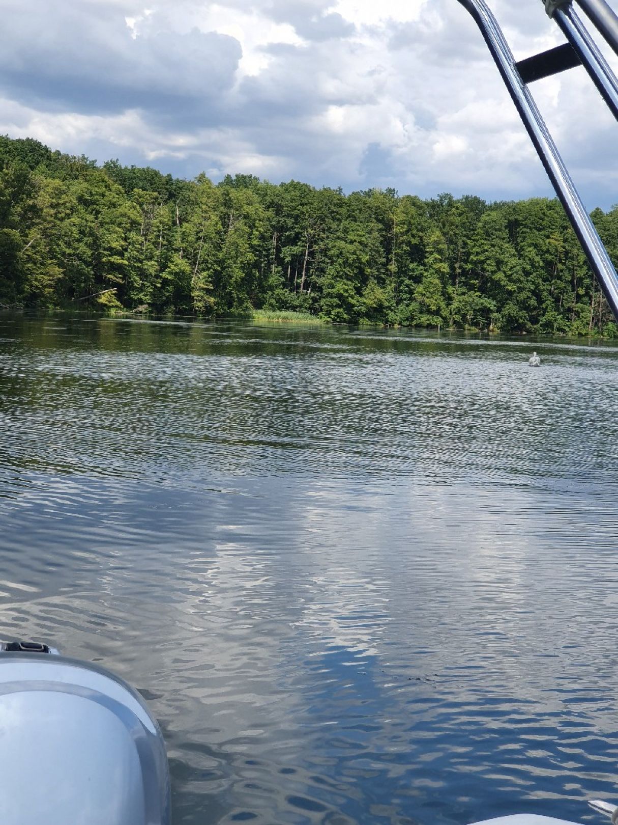 Möllensee (Grünheide) angeln