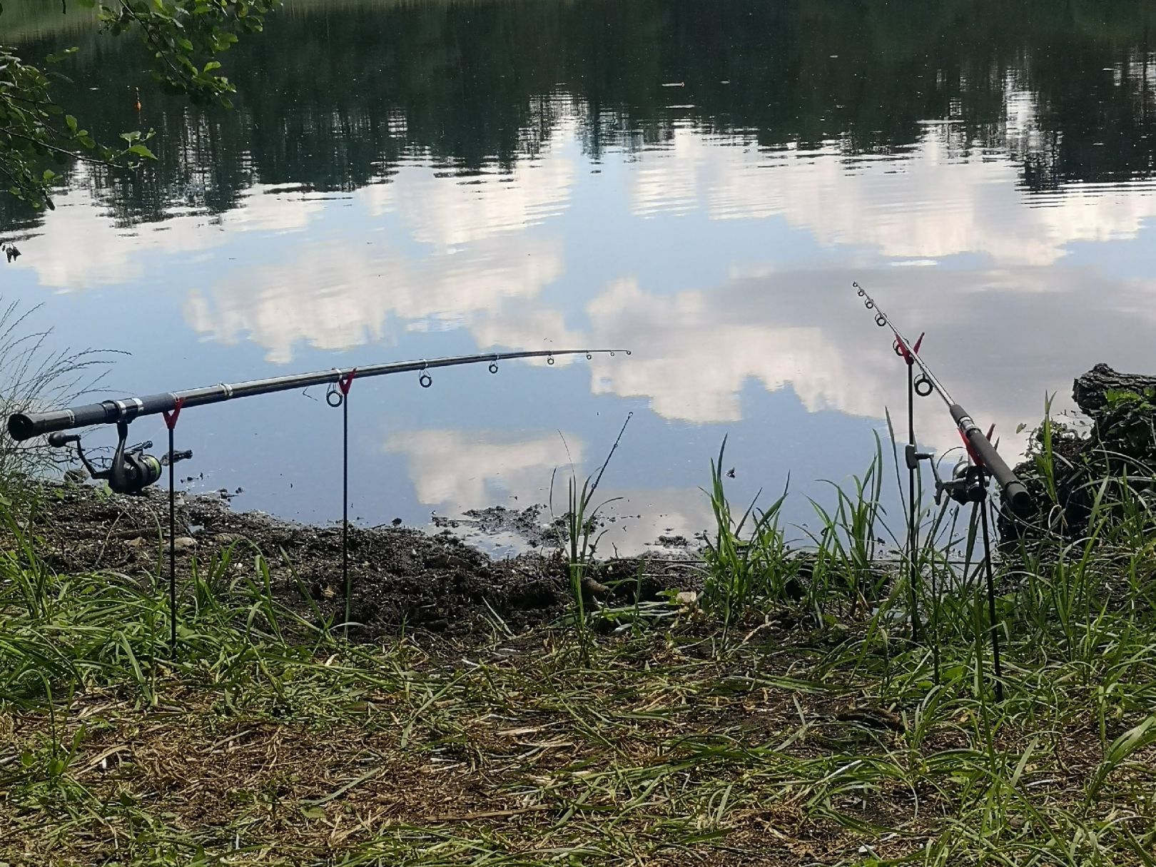 Möllensee (Grünheide) angeln