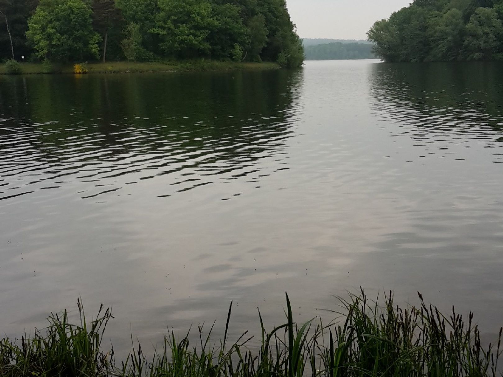 Halterner Stausee angeln