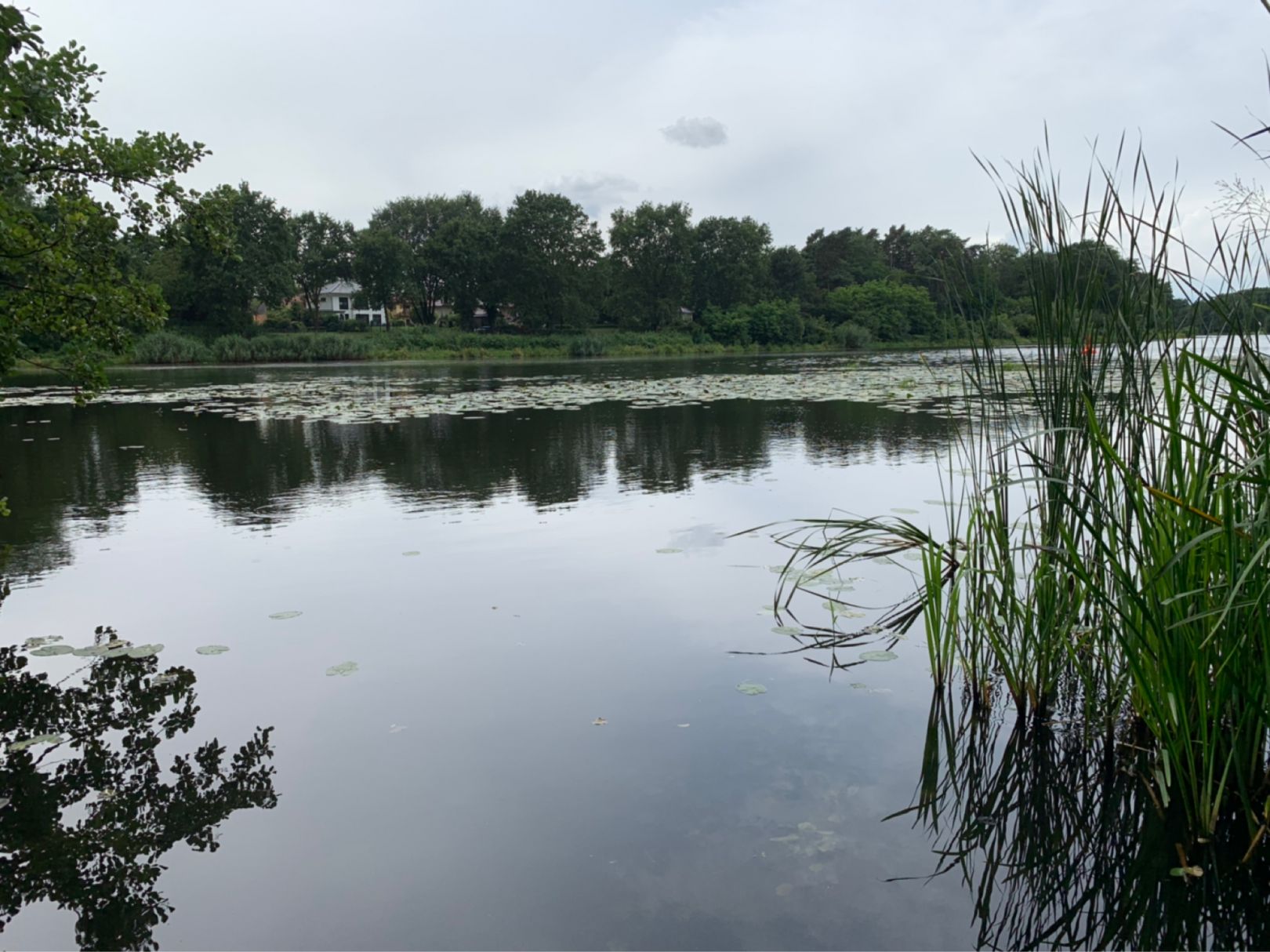 Oder-Spree-Kanal (Fürstenwalde/Spree) angeln
