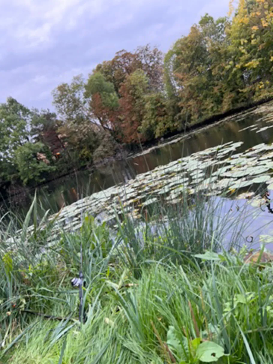 Hafermühlenteich (Helmstedt) angeln