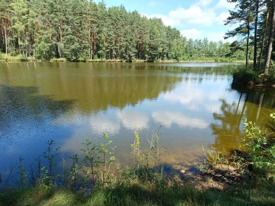 Mähdweiher angeln