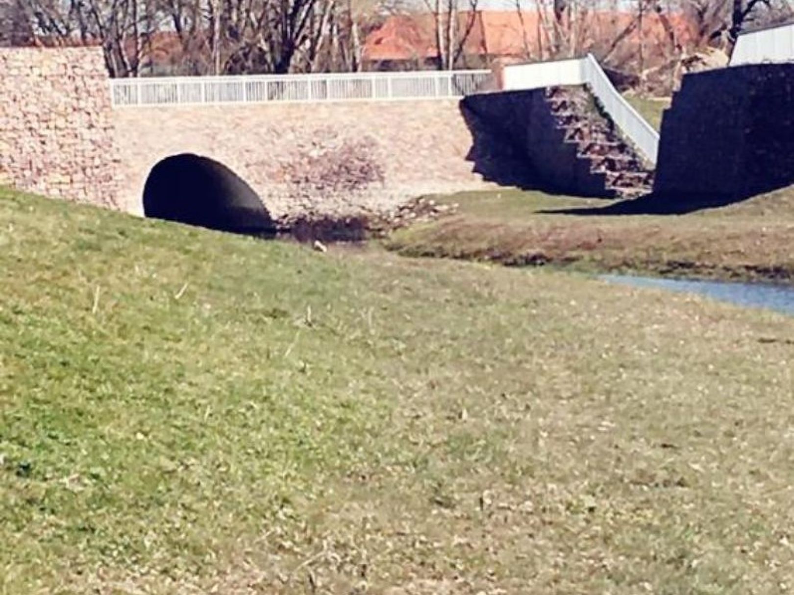 Kiesgrube Merseburg Süd angeln