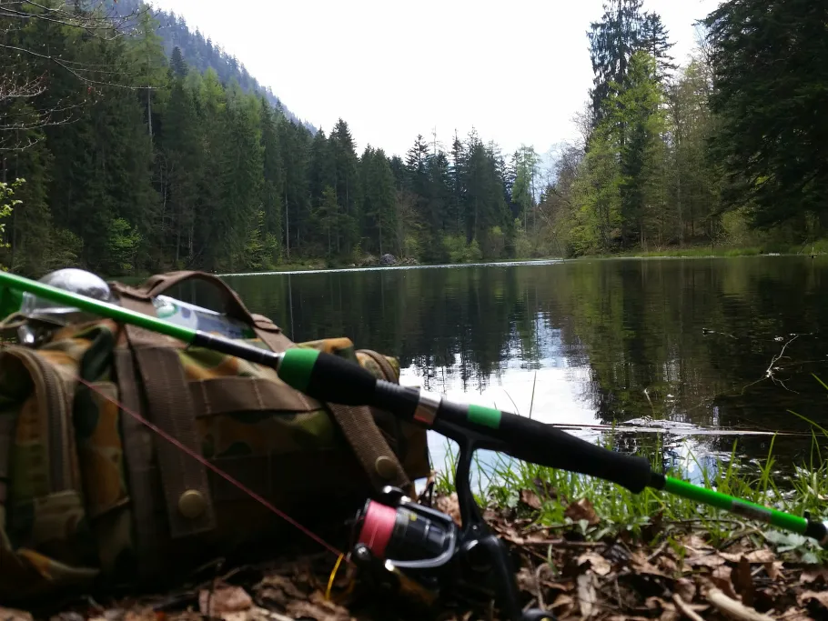 Taubensee (Ruhpolding) angeln